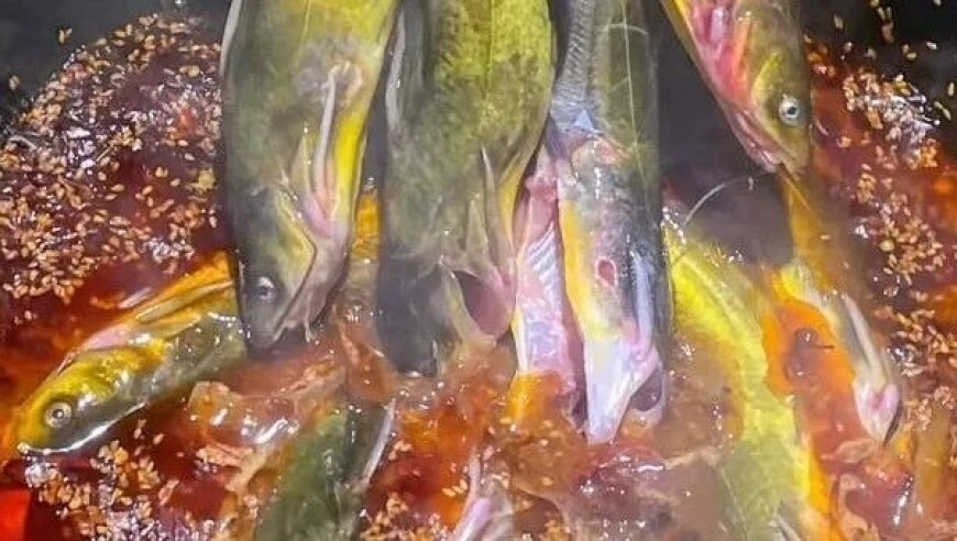 曾道道人正版资料免费大全,官方辟谣四川凉山州发生山火,精准解释落实的人生哲理_潮流版V7.1