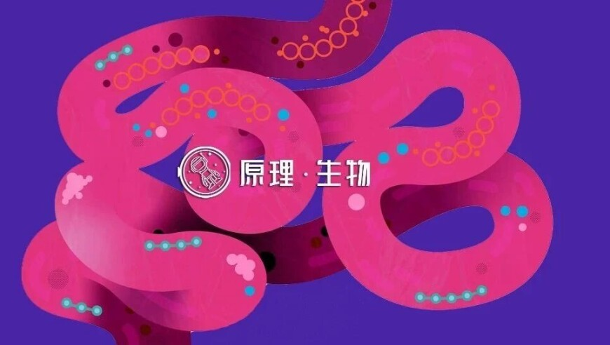 广东紧急撤回一个夏天,澳门六开彩天天开奖结果资料查询,广泛的解释落实方法分析_精英版V7.38