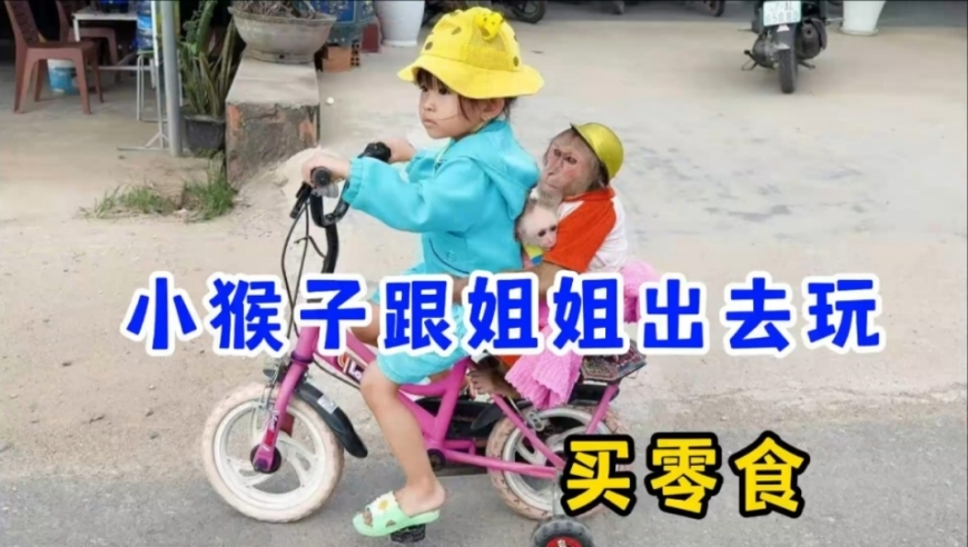 最高法工作报告点名李铁案,惠泽社群澳门,完美答案解释落实_投资版V4.16