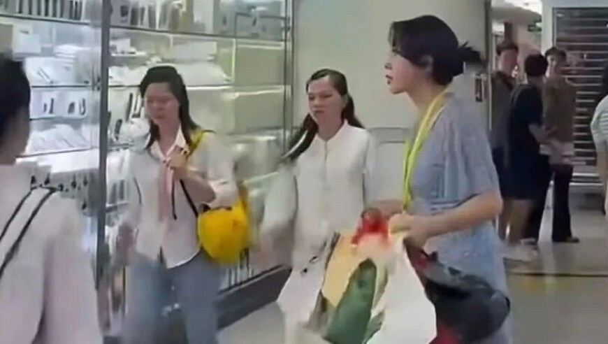 赵继伟给原帅全明星穿搭打90分,澳门2025精准一肖一码默认,广泛的解释落实支持计划_入门版V9.66